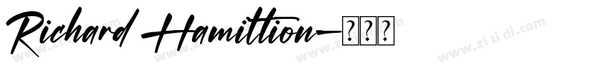 Richard Hamiltion字体转换